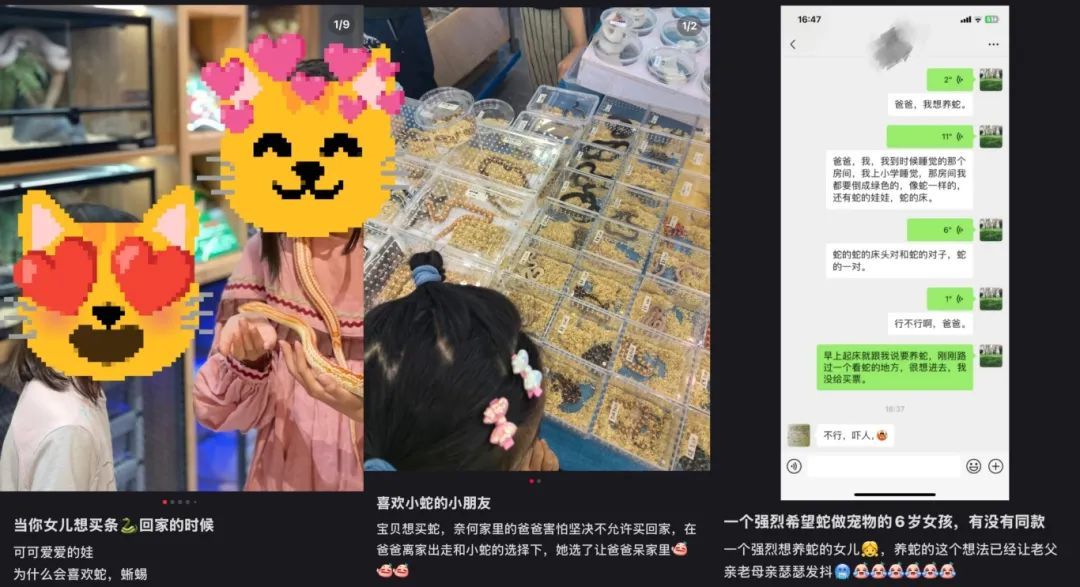 蛇年到！"如何说服爸妈买蛇"引热议