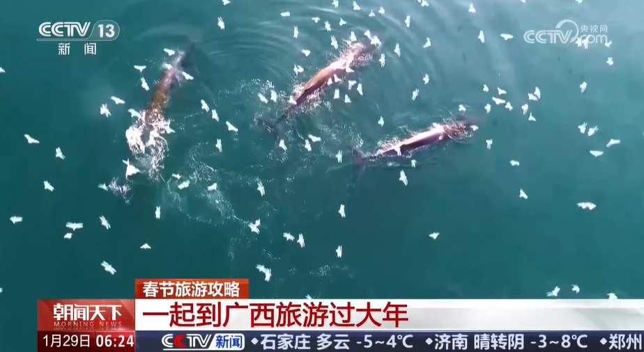 春节旅游攻略 一起到广西旅游过大年