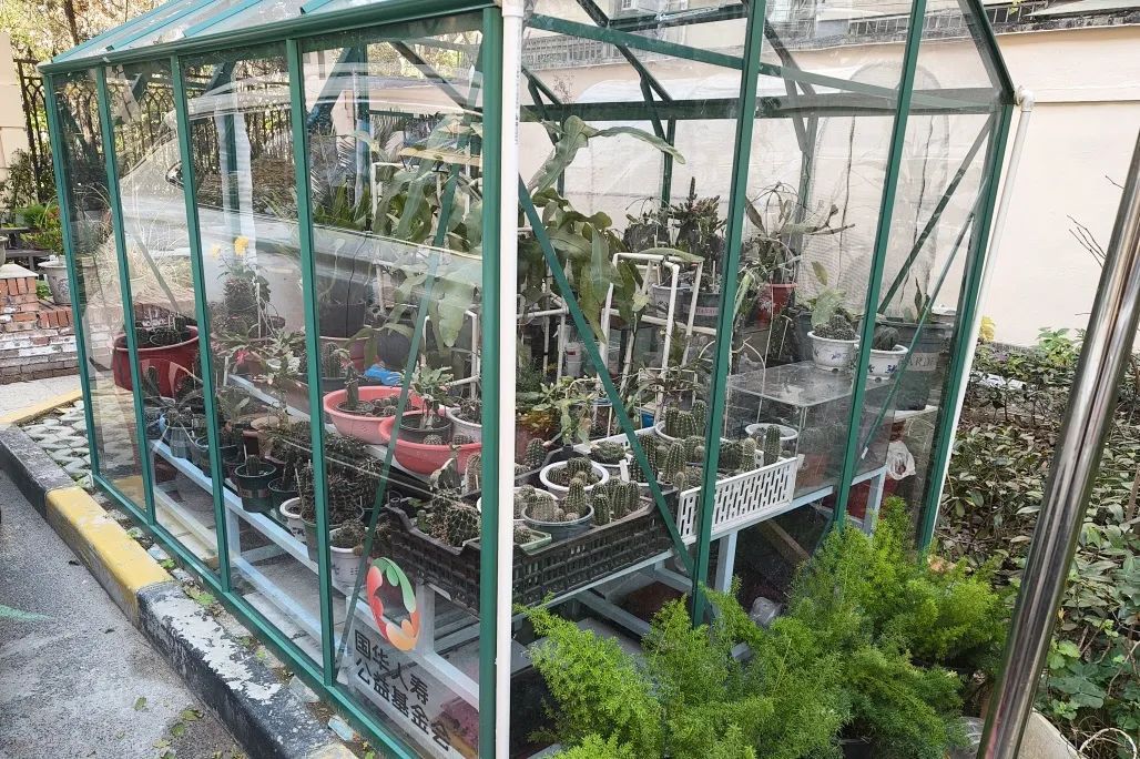 这位登上春晚的上海爷叔火了!有啥来头? 这位登上春晚的上海爷叔火了!有啥来头?