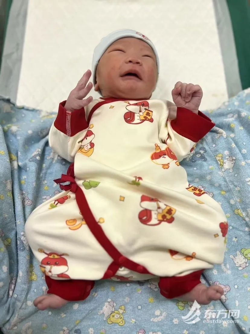 可爱的“小蛇”诞生啦！伴着新春钟声，“蛇妈妈”带“蛇宝宝”来拜年