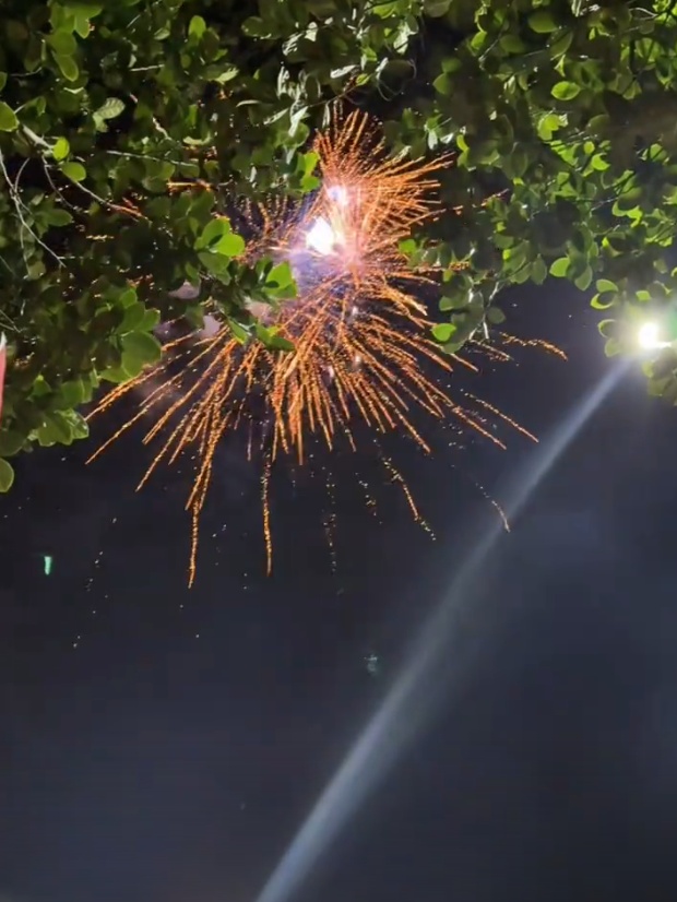 全红婵晒一百张照片请大家看烟花，王楚钦、谢思埸在线调侃