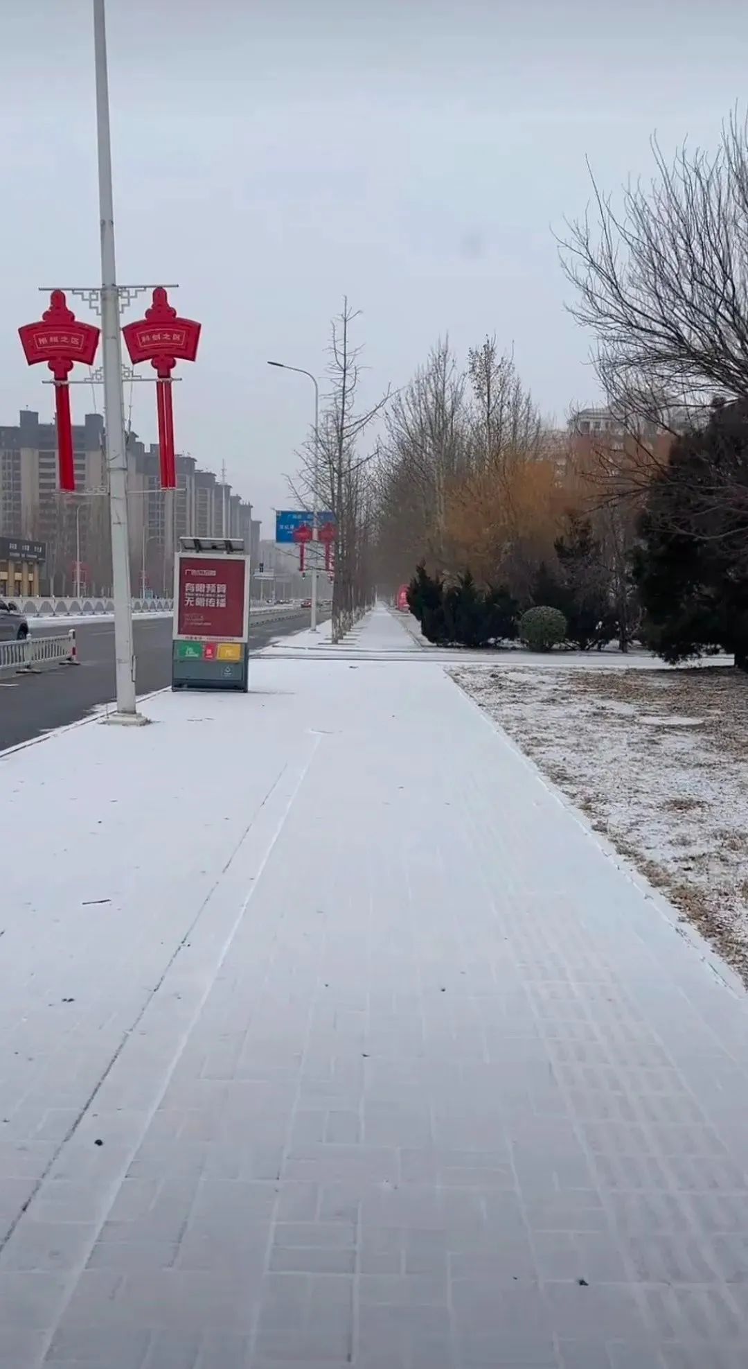 又下雪了！天津还下吗？这些地方有暴雪！最新预报——