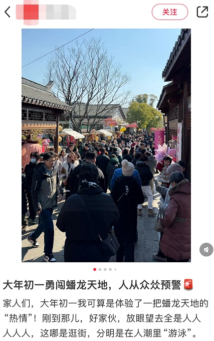 春节假期前三天上海多个景点“人从众”，这个郊区“水集”人流堪比市区