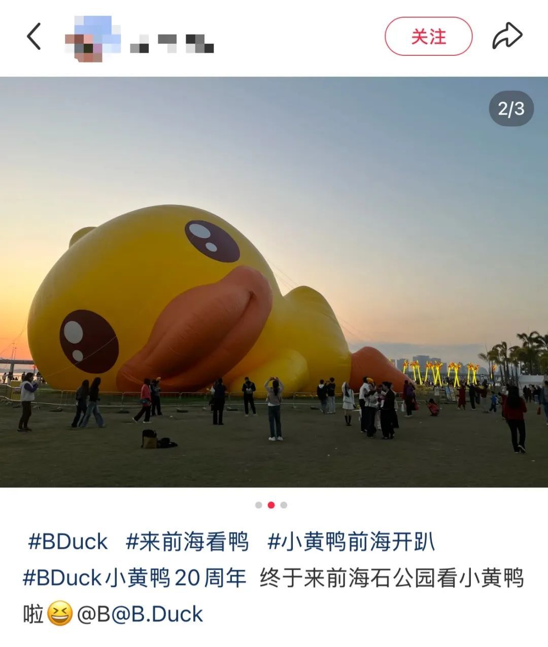 人人人人人从众！网友：“大概有‘一亿人’”