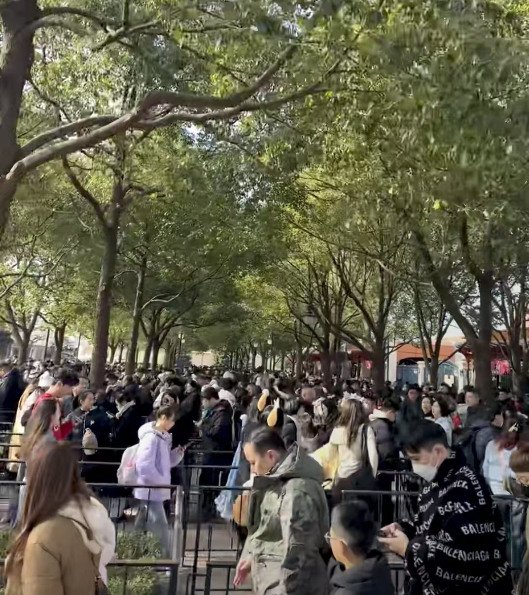 春节假期前三天上海多个景点“人从众”，这个郊区“水集”人流堪比市区