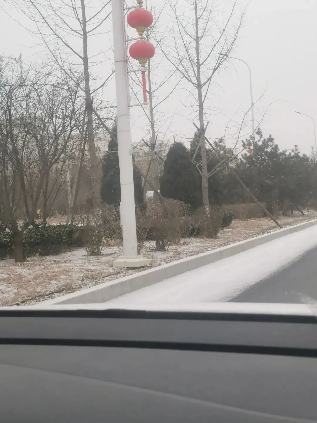 又下雪了！天津还下吗？这些地方有暴雪！最新预报——