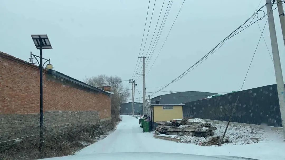 又下雪了！天津还下吗？这些地方有暴雪！最新预报——