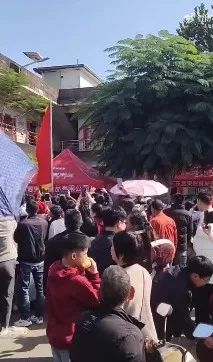 全红婵晒一百张照片请大家看烟花，王楚钦、谢思埸在线调侃