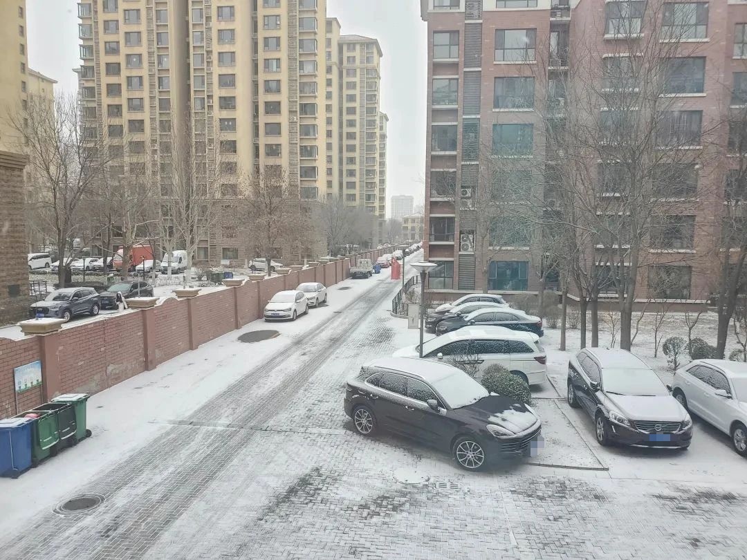 又下雪了！天津还下吗？这些地方有暴雪！最新预报——