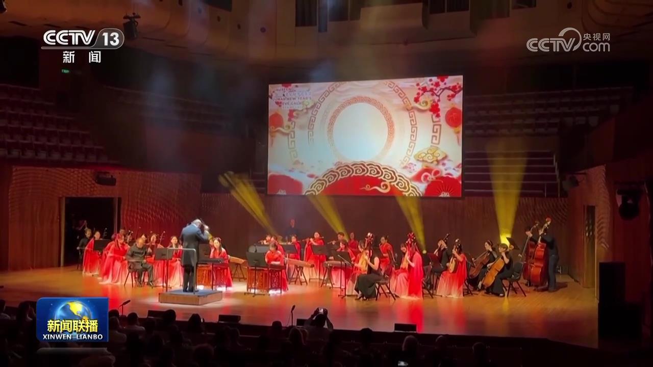 蛇年春节庆祝活动在多国举行