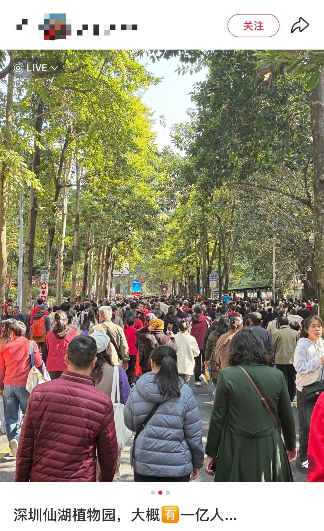 人人人人人从众！网友：“大概有‘一亿人’”