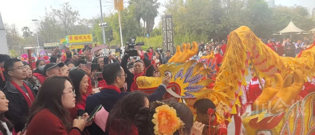 这波年味绝了！舞龙、红包雨……柳州这里热闹非凡！