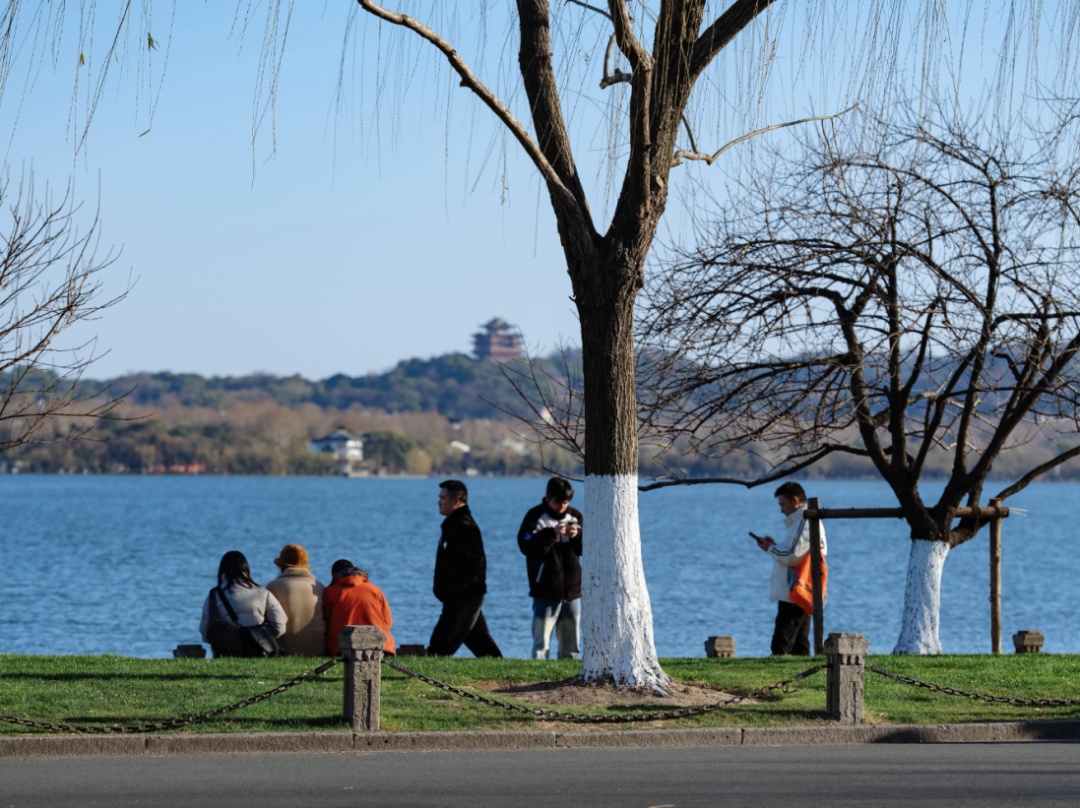 雪！暴雪！这波真的有点猛