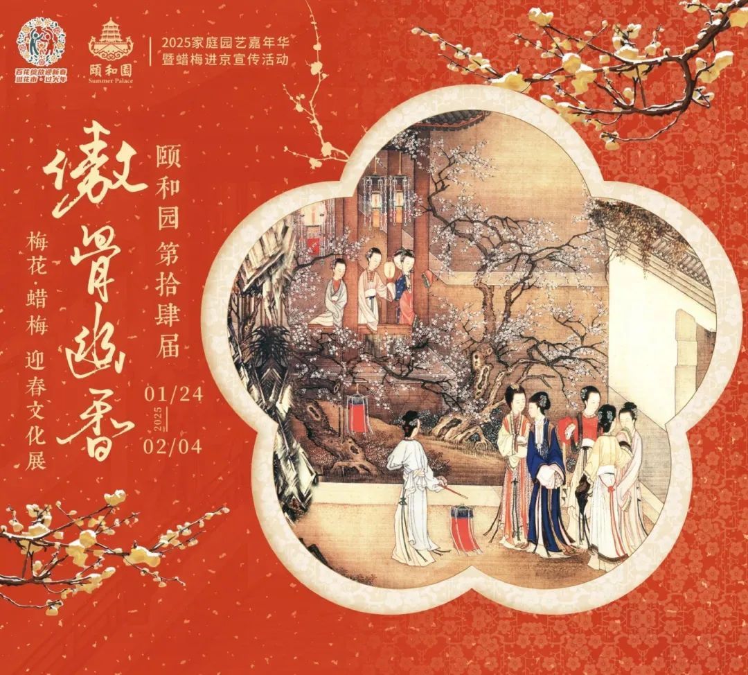 美翻了！北京春节繁花似锦，牡丹、梅花、樱花、兰花全开了