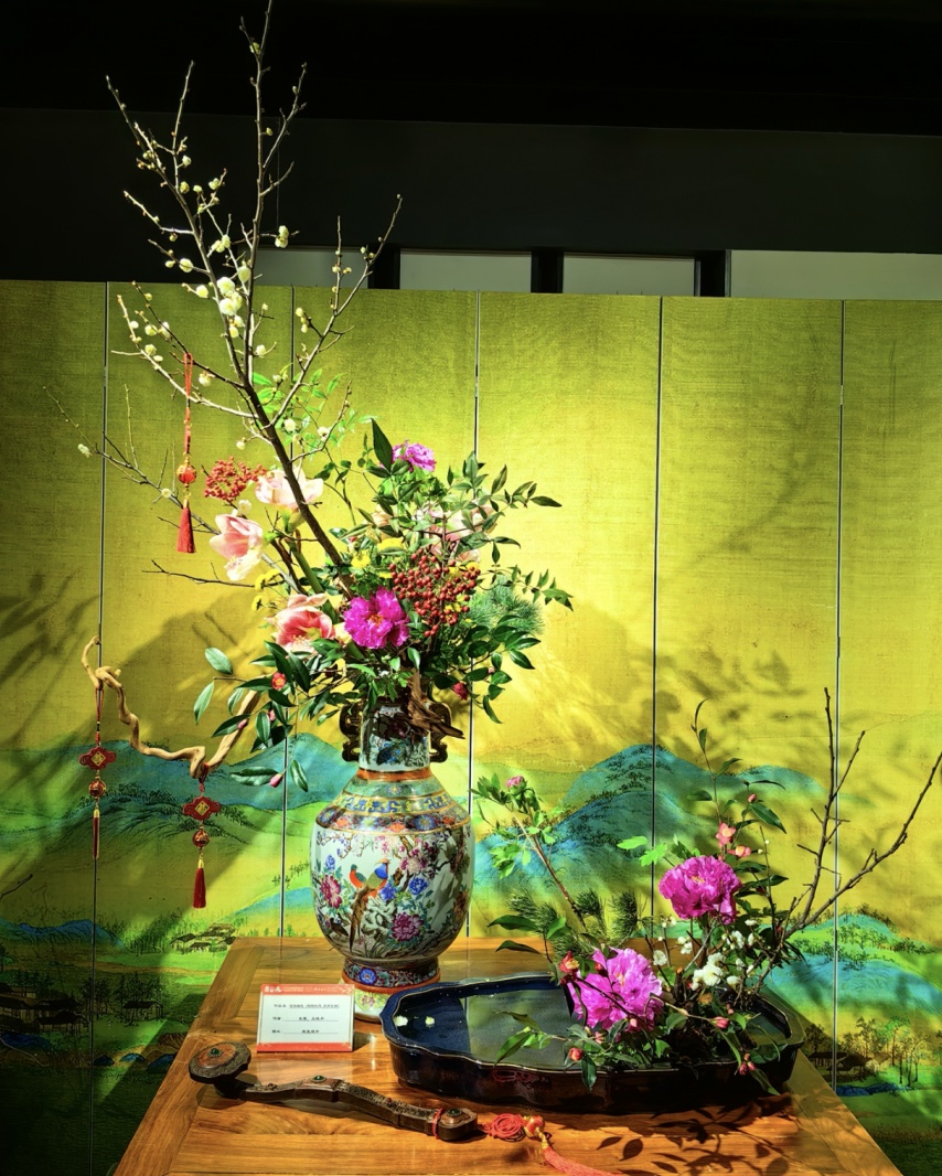美翻了！北京春节繁花似锦，牡丹、梅花、樱花、兰花全开了