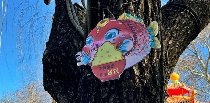 每逢佳节胖三斤!趵突泉“猪鲤”减肥又又又失败了 每逢佳节胖三斤!趵突泉“猪鲤”减肥又又又失败了