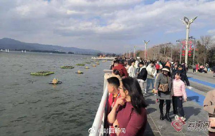 人比鸥多?昆明红嘴鸥过年吃了就睡 人比鸥多?昆明红嘴鸥过年吃了就睡