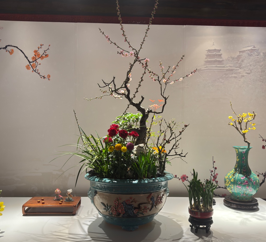 美翻了！北京春节繁花似锦，牡丹、梅花、樱花、兰花全开了