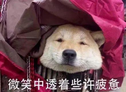 放假了还不开心?你可能是因为...... 放假了还不开心?你可能是因为......