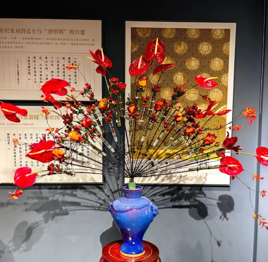 美翻了！北京春节繁花似锦，牡丹、梅花、樱花、兰花全开了
