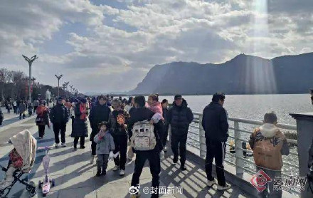 人比鸥多?昆明红嘴鸥过年吃了就睡 人比鸥多?昆明红嘴鸥过年吃了就睡