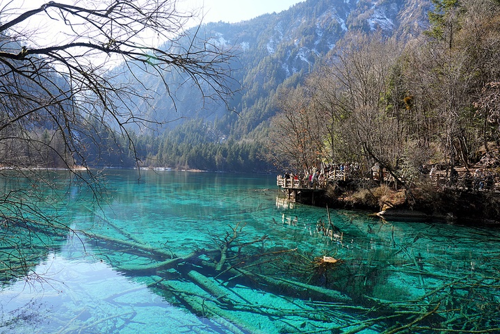 九寨沟、自贡灯会等景点大年初三门票已售罄 九寨沟、自贡灯会等景点大年初三门票已售罄