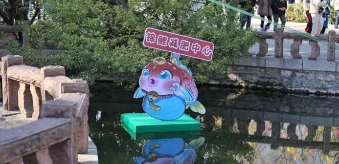 每逢佳节胖三斤!趵突泉“猪鲤”减肥又又又失败了 每逢佳节胖三斤!趵突泉“猪鲤”减肥又又又失败了