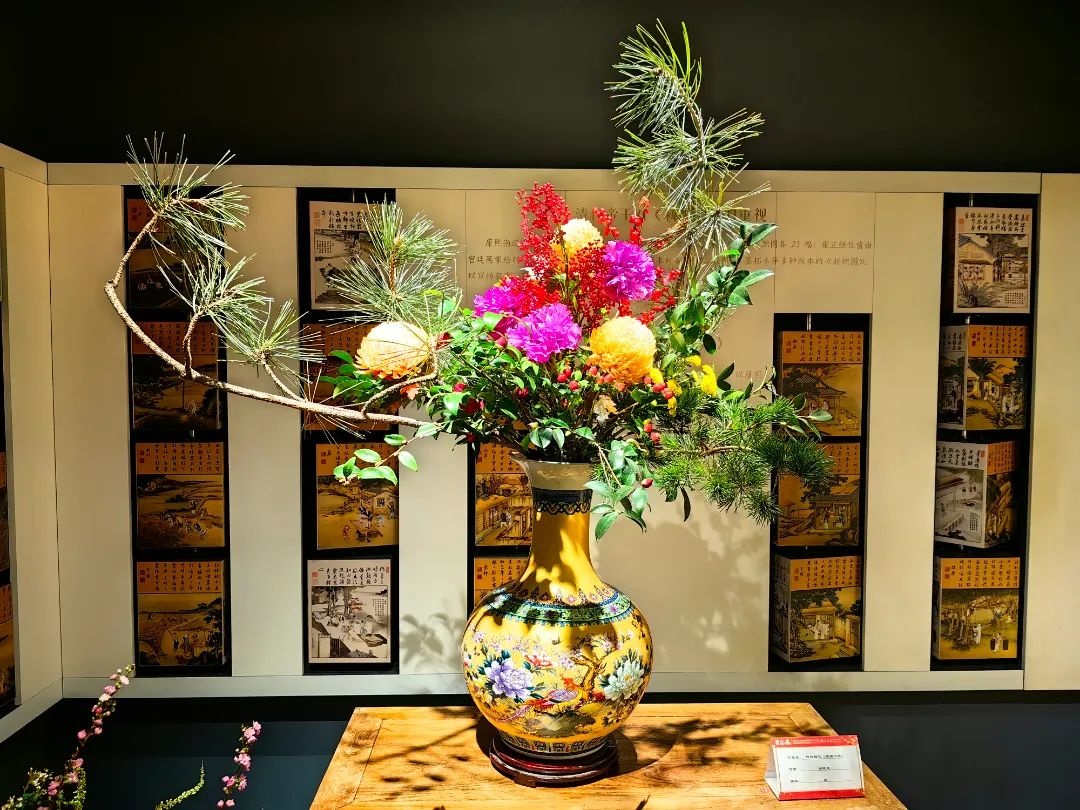 美翻了！北京春节繁花似锦，牡丹、梅花、樱花、兰花全开了