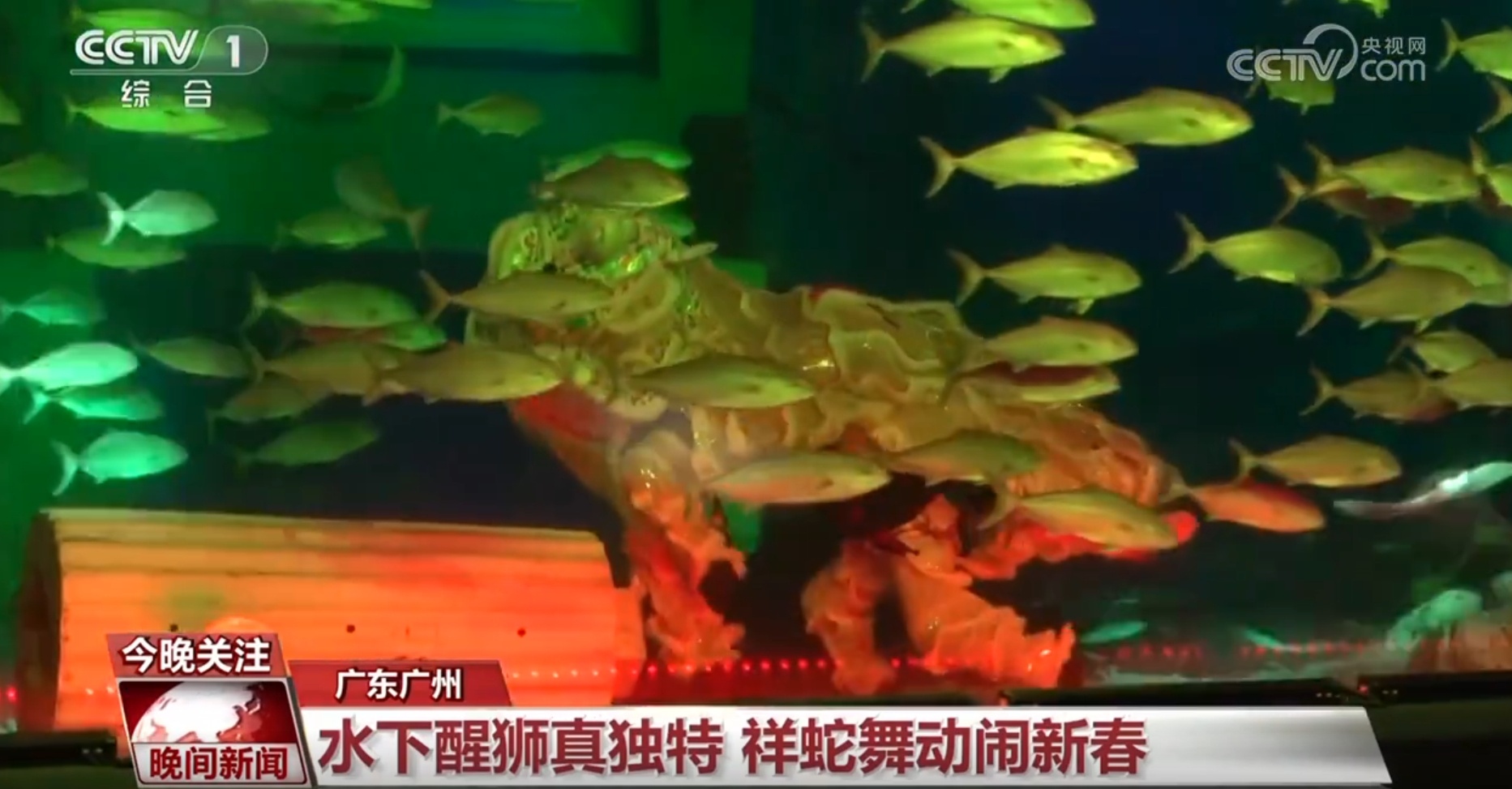 跟着年俗去打卡!一起去各地感受假日魅力 跟着年俗去打卡!一起去各地感受假日魅力