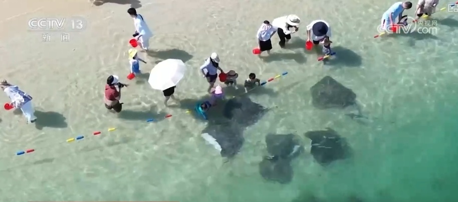 多彩旅游公路串景成链 体验舌尖漫旅看最美风景享独特年味