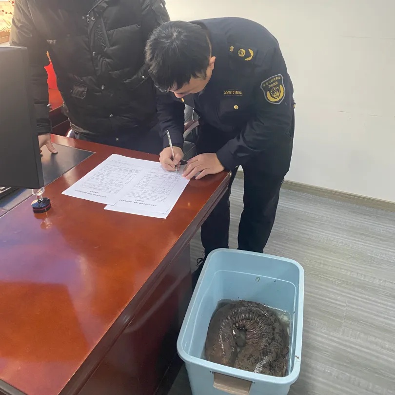 上海市民报警!突然发现“怪鱼”:长1米,还有脚……一查身份不一般 上海市民报警!突然发现“怪鱼”:长1米,还有脚……一查身份不一般