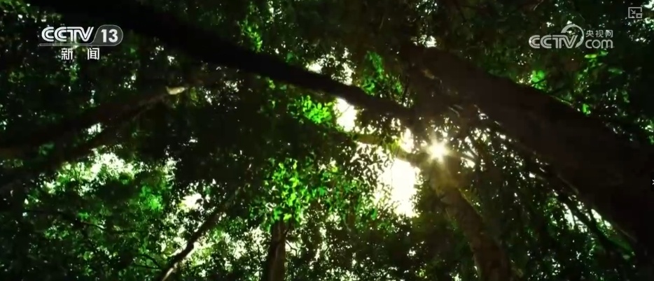 多彩旅游公路串景成链 体验舌尖漫旅看最美风景享独特年味