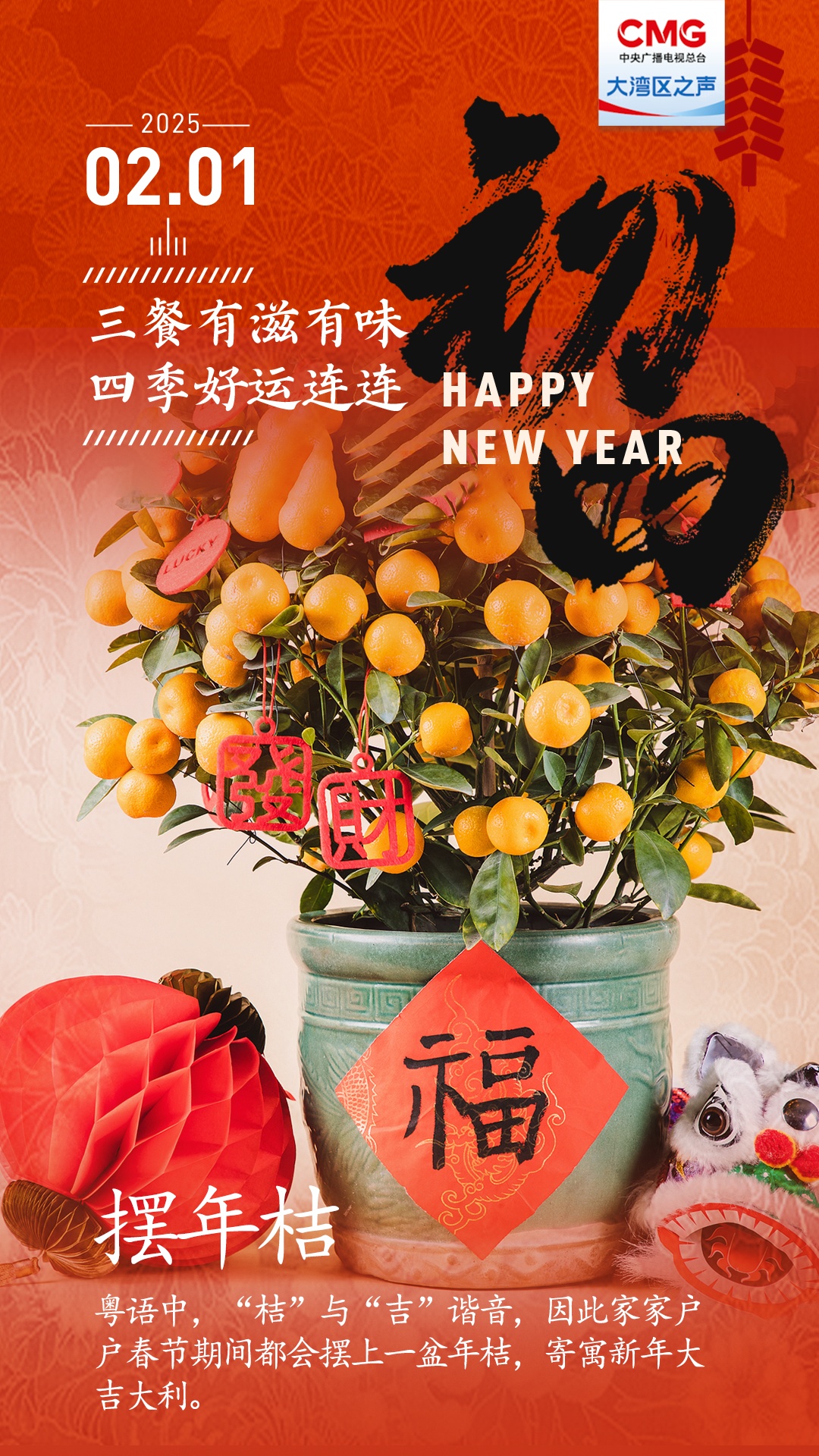 大年初四,大“桔”大利! 大年初四,大“桔”大利!