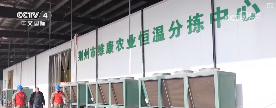 各地“菜篮子”“米袋子”“果盘子”货丰价稳 百姓欢乐祥和过大年