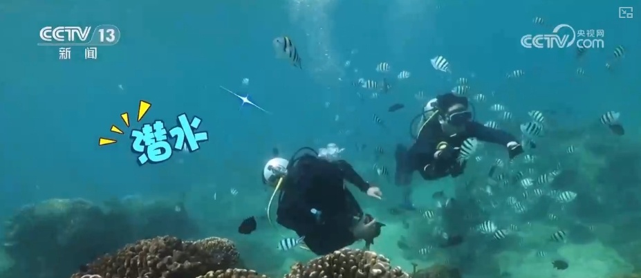 多彩旅游公路串景成链 体验舌尖漫旅看最美风景享独特年味