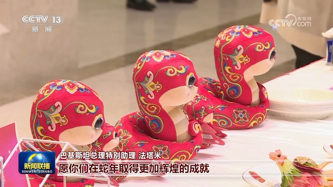 我驻多国使馆举办多彩活动庆祝蛇年春节