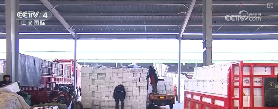 各地“菜篮子”“米袋子”“果盘子”货丰价稳 百姓欢乐祥和过大年