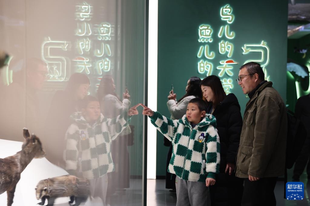 学知识 度假期