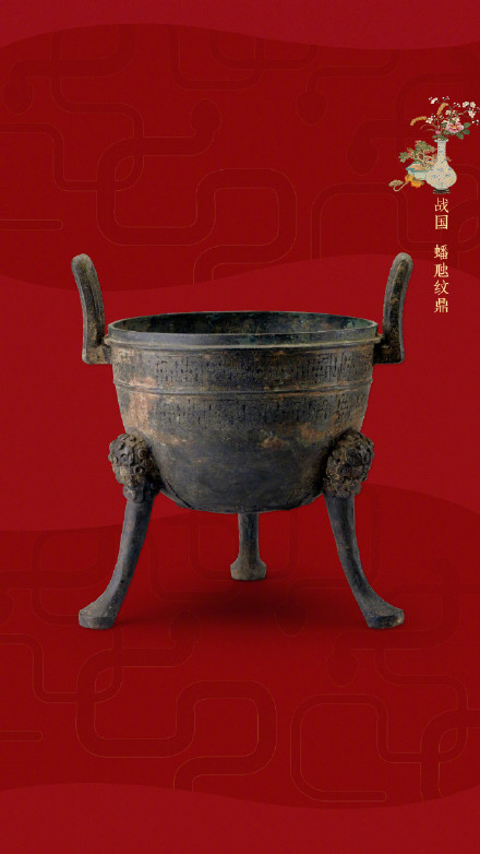 你见过故宫里的文物蛇吗