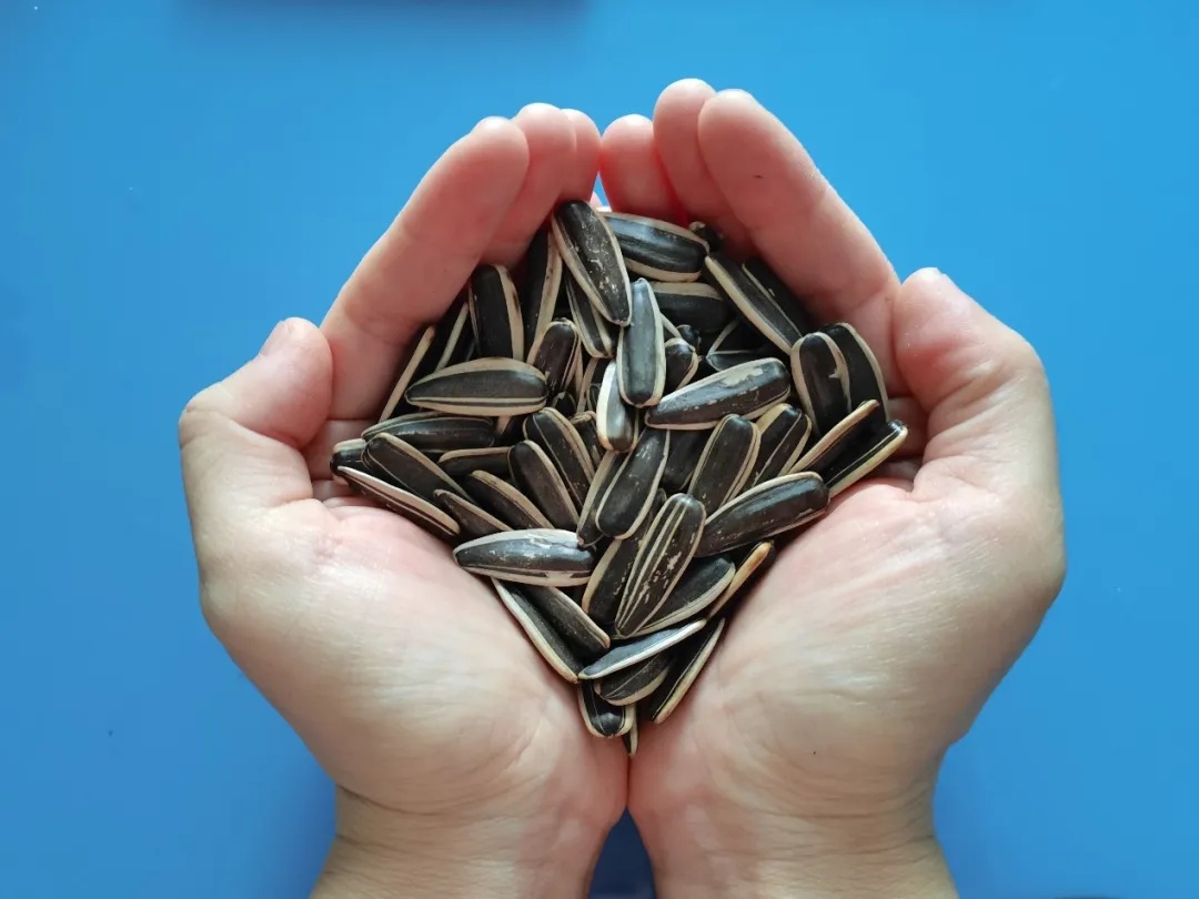 有毒还致癌,吃到马上吐出来!过年期间,杭州人几乎家家必备! 有毒还致癌,吃到马上吐出来!过年期间,杭州人几乎家家必备!