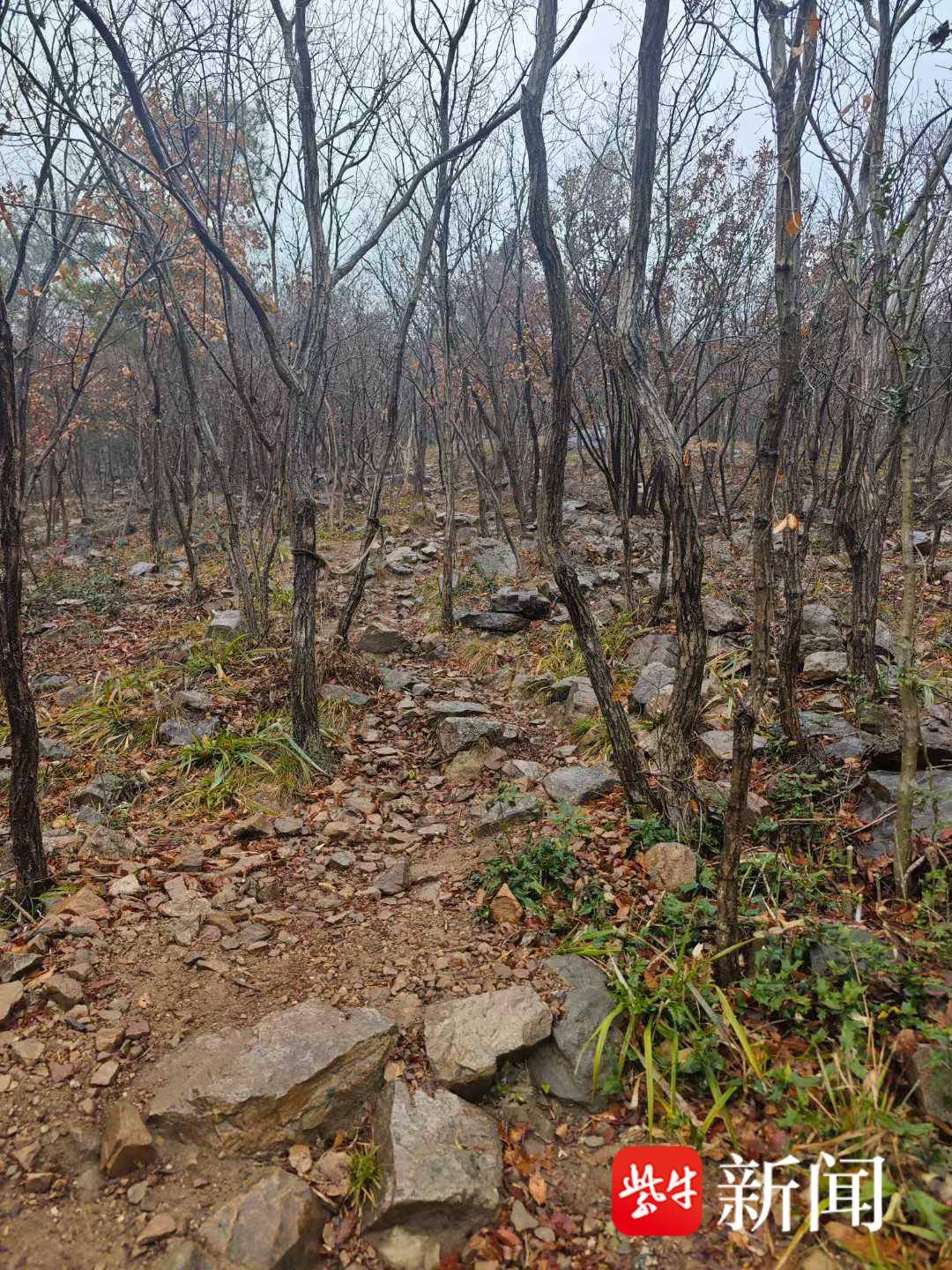 春节登高三人被困高骊山，大年初三民警带着红糖姜茶救助