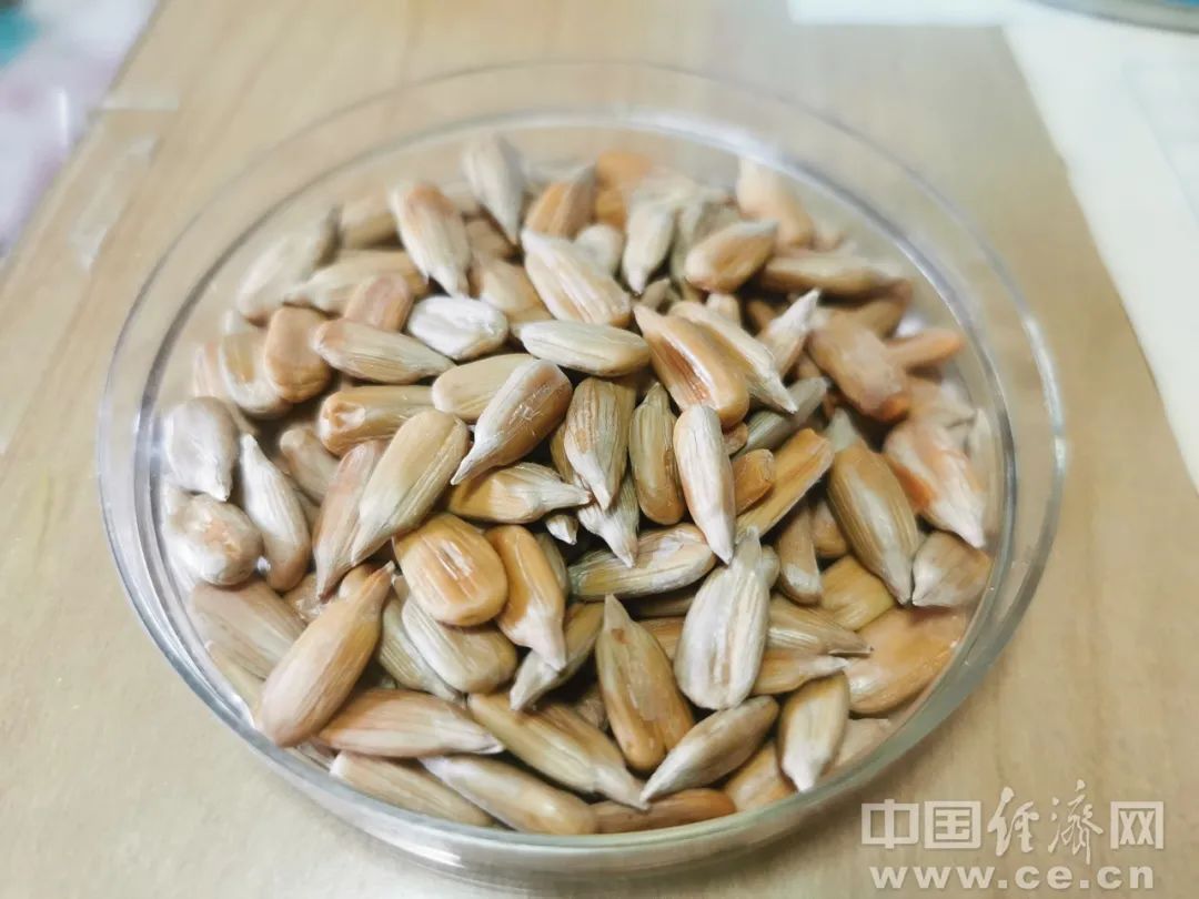 过年常备！这种瓜子有毒，吃到千万吐出来→