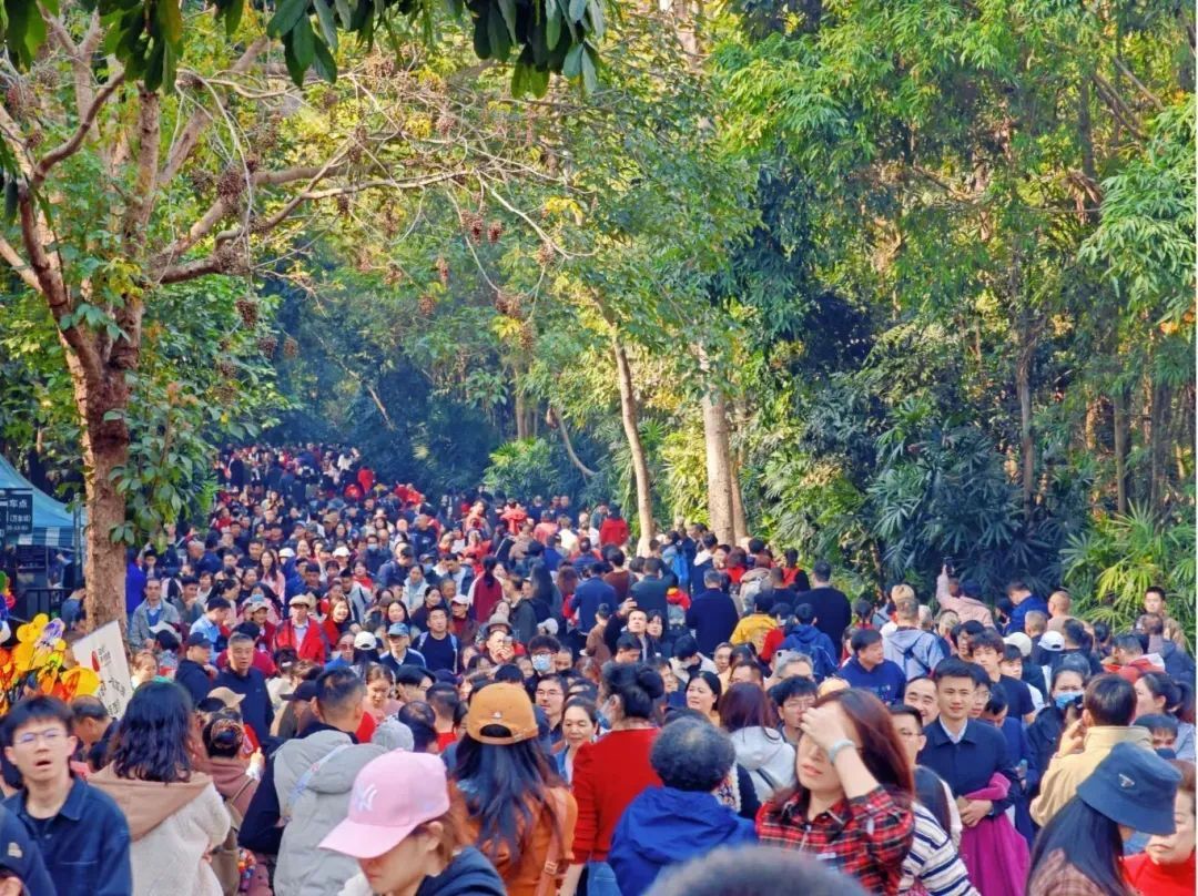 广西一景区连续3天发布限流公告！多地紧急提醒