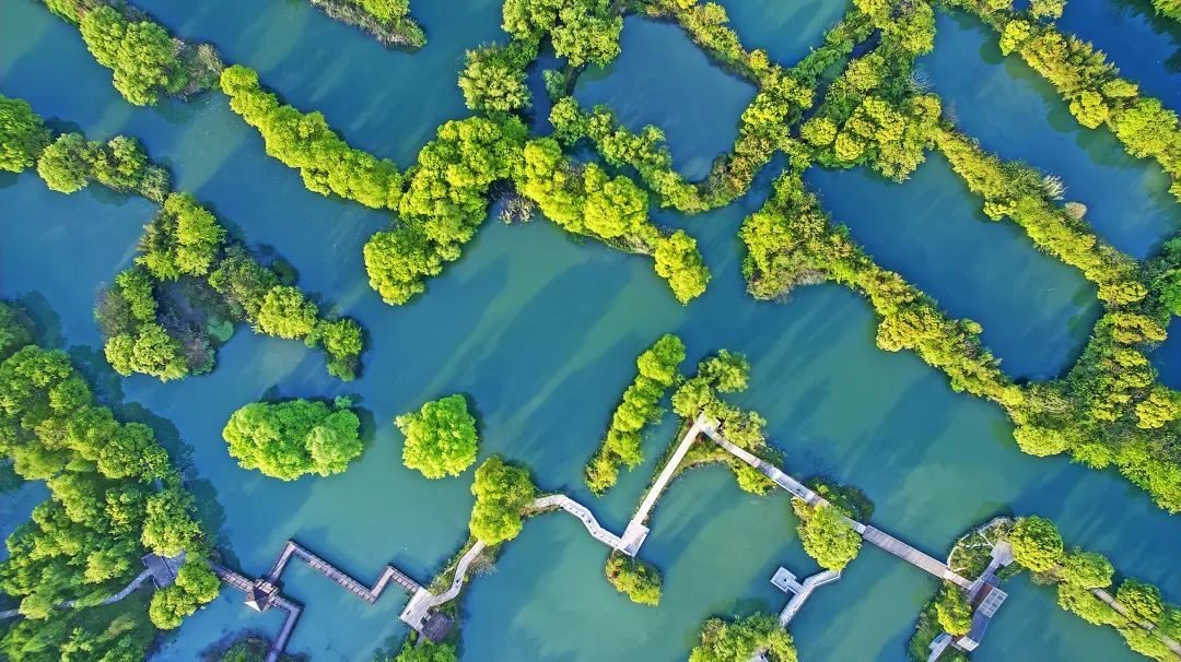 今天免门票!浙江多个景区官宣 今天免门票!浙江多个景区官宣