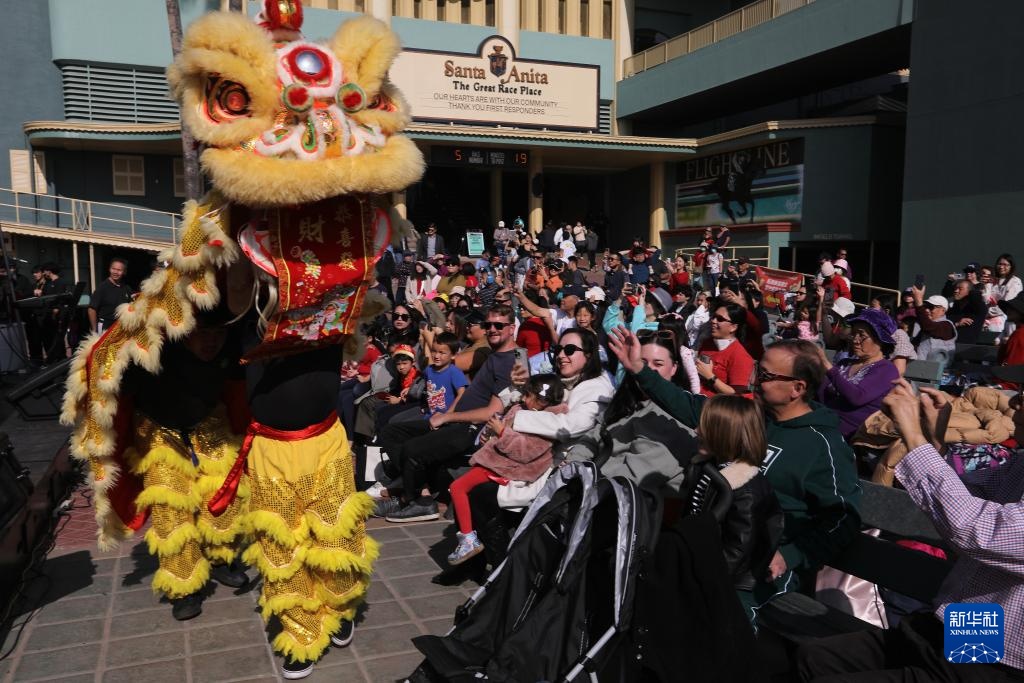 综合消息丨同一个世界　同一份喜悦——世界多地同贺中国年