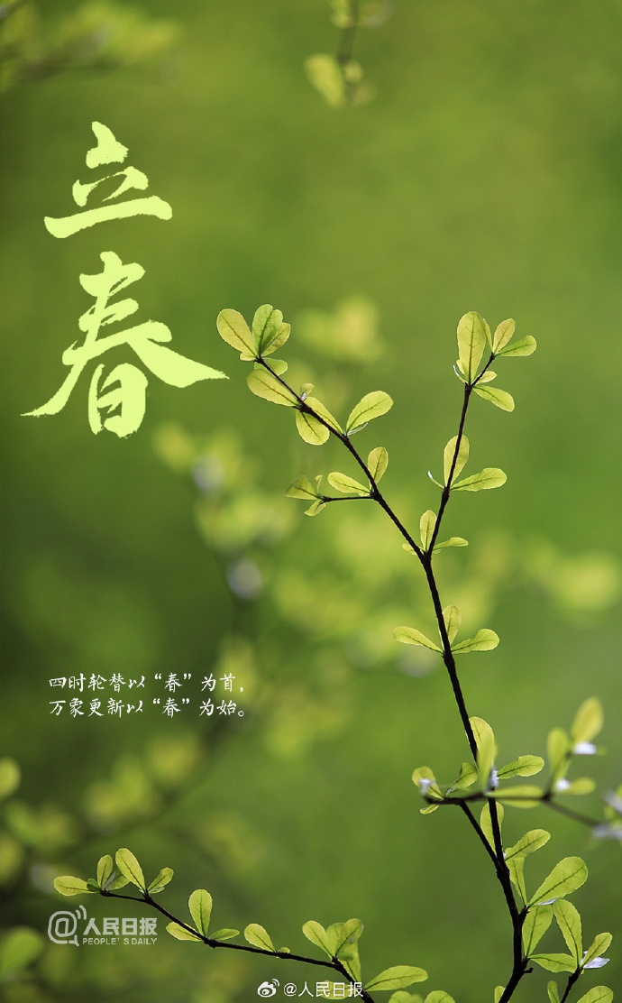 云南人的春天，从舌尖开启