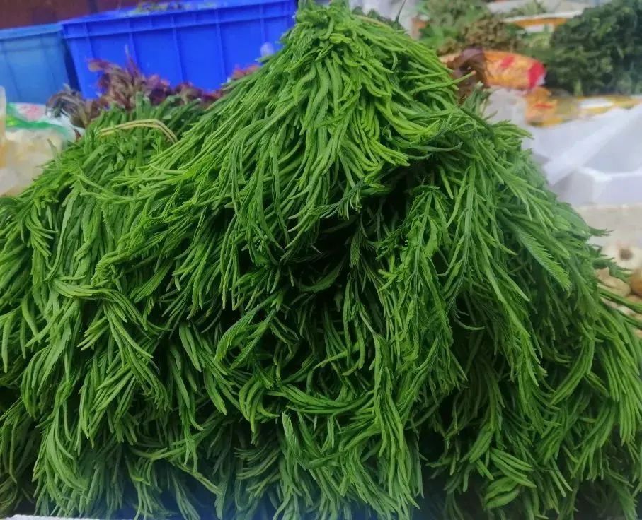 云南人的春天，从舌尖开启