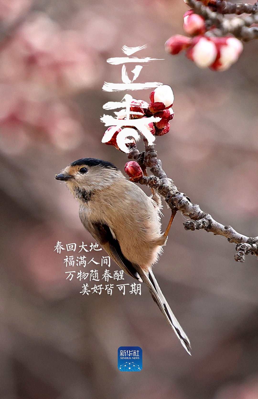 立春！祝你春风得意