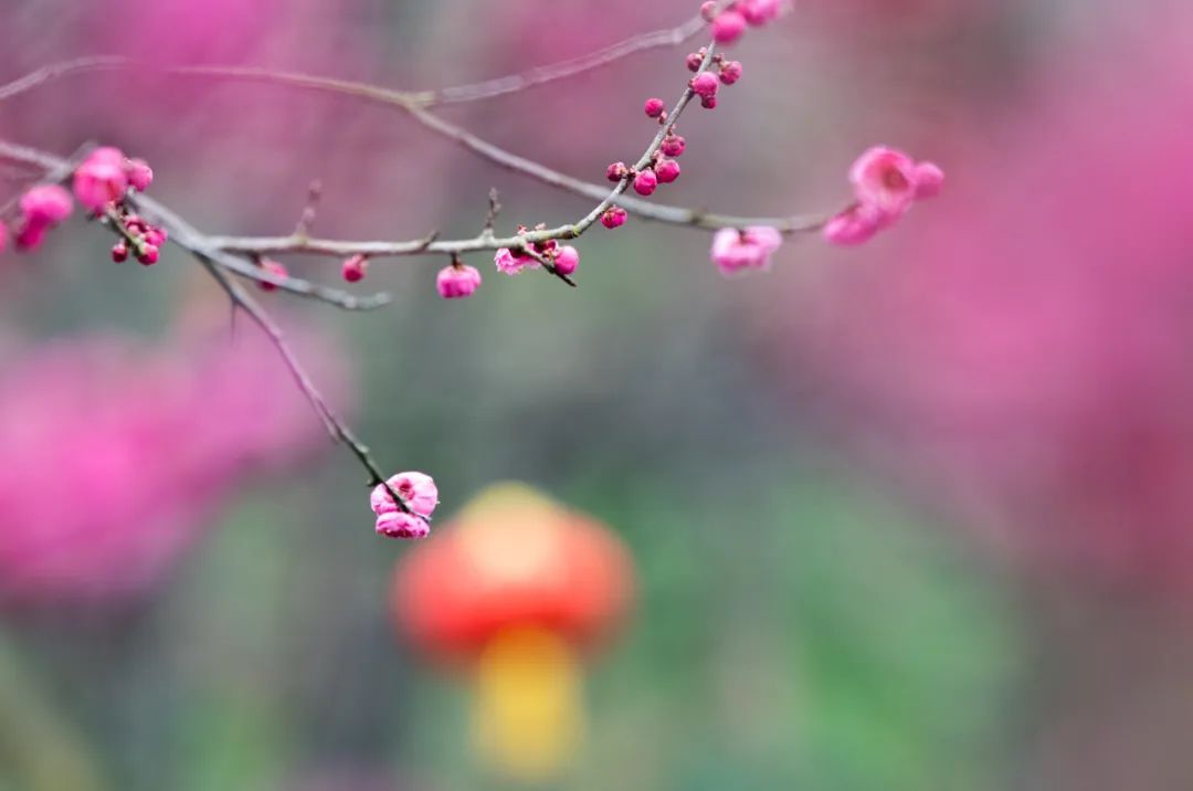 今日立春，要做这些事！