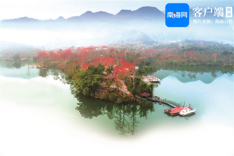 今日立春，打开海南春天的正确方式→